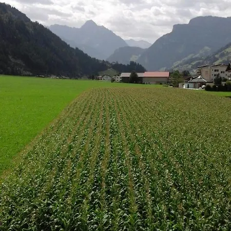 Gaestehaus Wildauer Mini-hôtel Zell am Ziller